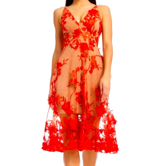 Audrey Fit & Flare Sheer Lace Floral Appliqué Midi Dress COLOR: Poppy Red/Orange - Picture 5 of 9